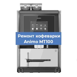 Замена термостата на кофемашине Animo MT100 в Перми